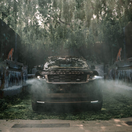 1 of 12 – Ranthambore Delivery